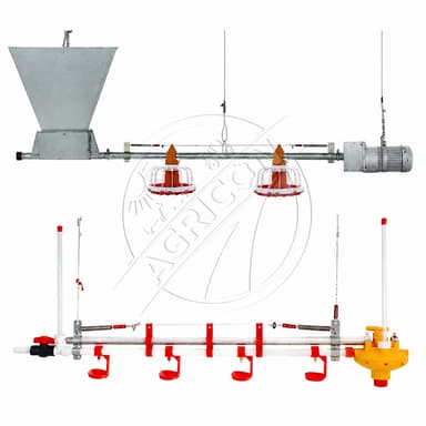 Full-automatic Poultry Feeding Line System Pan Feeder Nipple Drinker Environment Controlled For Broiler Chicken Farm