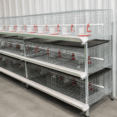 Automatic Broiler Chicken Cage H Frame System Hot Dipped Galvanized Steel 3-4 Tier Feeding Drinking Manure Removal Poultry Farm