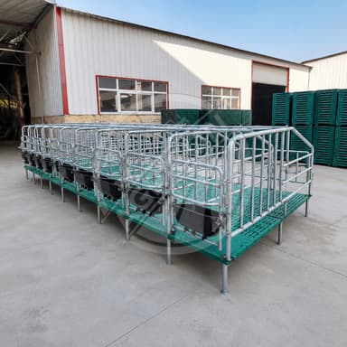 Automatic Pig Crate Gestation Pen Stall For Sow Pig Heavy Duty Galvanized Steel For Pig Farms Retail Industries Breeding Housing