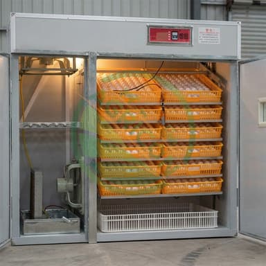 Hatcher Incubator Equipment Fully Automatic Egg Incubator For Poultry Emu High Hatching Rate Stainless Steel Construction