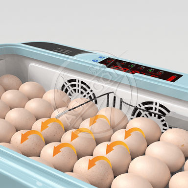 Automatic Digital Egg Incubator 48-96 Eggs Capacity Temperature Humidity Control Roller Tray For Chicken Poultry Hatching 98%