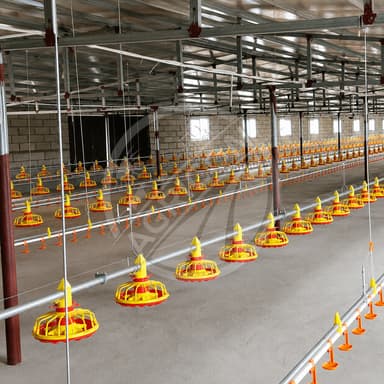 Full-automatic Poultry Feeding Line System Pan Feeder Nipple Drinker Environment Controlled For Broiler Chicken Farm