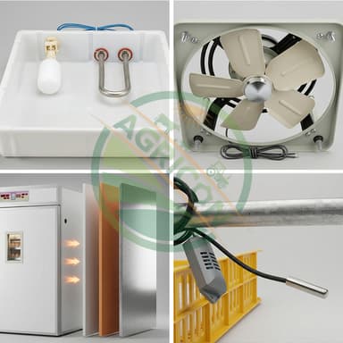 Hatcher Incubator Equipment Fully Automatic Egg Incubator For Poultry Emu High Hatching Rate Stainless Steel Construction