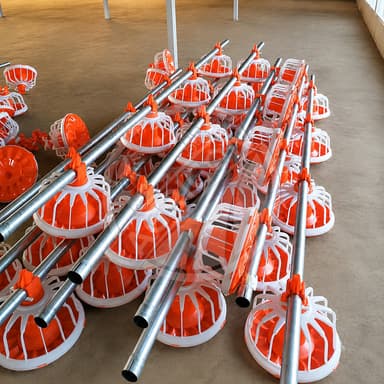 Full-automatic Poultry Feeding Line System Pan Feeder Nipple Drinker Environment Controlled For Broiler Chicken Farm