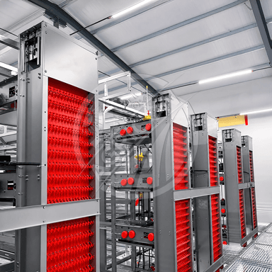 H Frame Layer Cage Hot Dipped Galvanized Steel Battery Cage System For Layer Hen 128-200 Birds With Automatic Farm Equipment