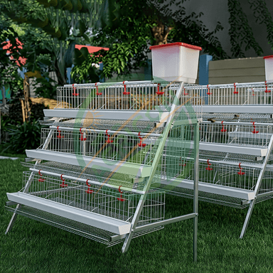 48 Capacity Half Set Chicken Layer Cage High Quality Poultry Farming Equipment Small Farm Use Egg Laying Hens Battery Cage