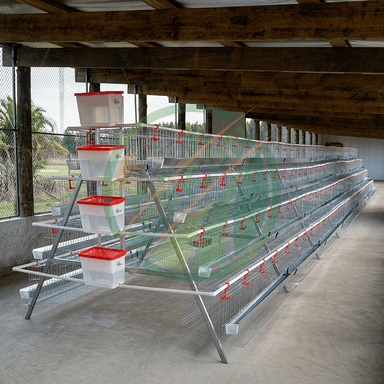 128 Capacity 4 Tier 4 Doors Layer Cage For Chicken Farm Automatic Egg Collecting