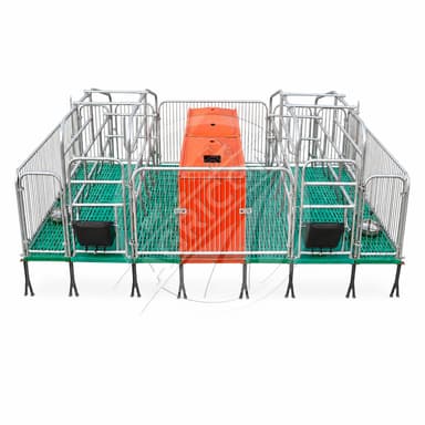 Farrowing Crate Hot Dip Galvanized Steel Sow Pig Gestation Birthing Farrowing Pen For Pig Farm Piglet Protection