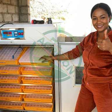 Hatcher Incubator Equipment Fully Automatic Egg Incubator For Poultry Emu High Hatching Rate Stainless Steel Construction