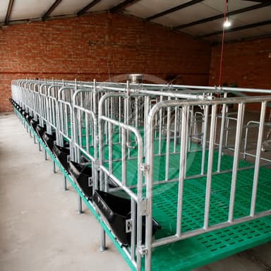 Automatic Pig Crate Gestation Pen Stall For Sow Pig Heavy Duty Galvanized Steel For Pig Farms Retail Industries Breeding Housing