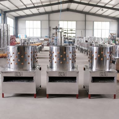 Commercial Stainless Steel Chicken Plucker Machine 1-10 Birds Per Hour Automatic Feather Removal For Farm Processing