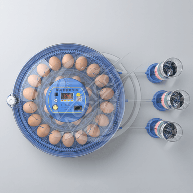 Mini Plastic Home Egg Incubator With Smart Temperature Control And Automatic Egg Turning For Poultry Hatching