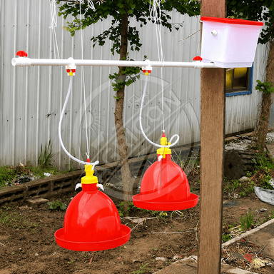 Plasson Bell Drinker Automatic Poultry Waterer For Chicken Broiler Layer Duck Goose Breeder Turkey Small Medium Large Hanging