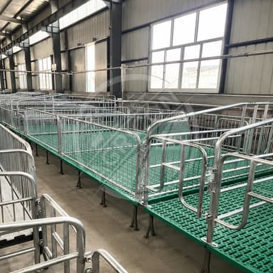 Automatic Pig Crate Gestation Pen Stall For Sow Pig Heavy Duty Galvanized Steel For Pig Farms Retail Industries Breeding Housing