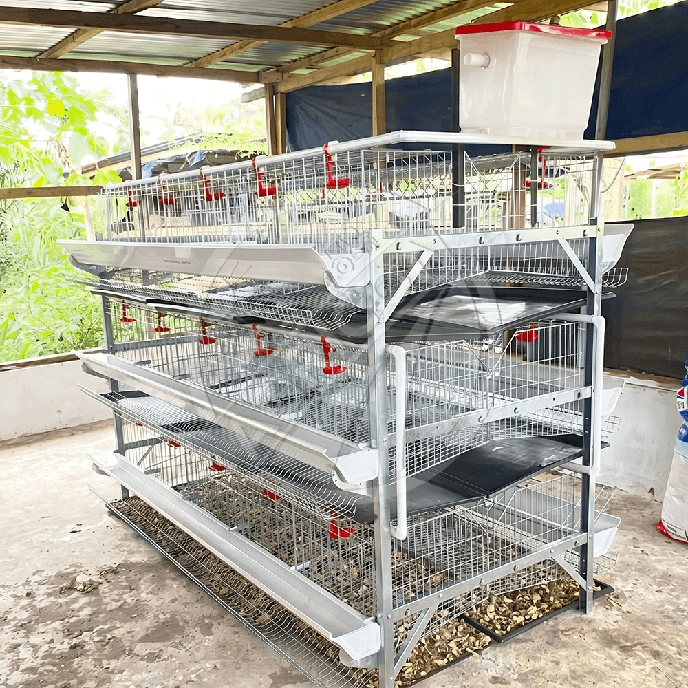 H-Type Layer Cage Battery System