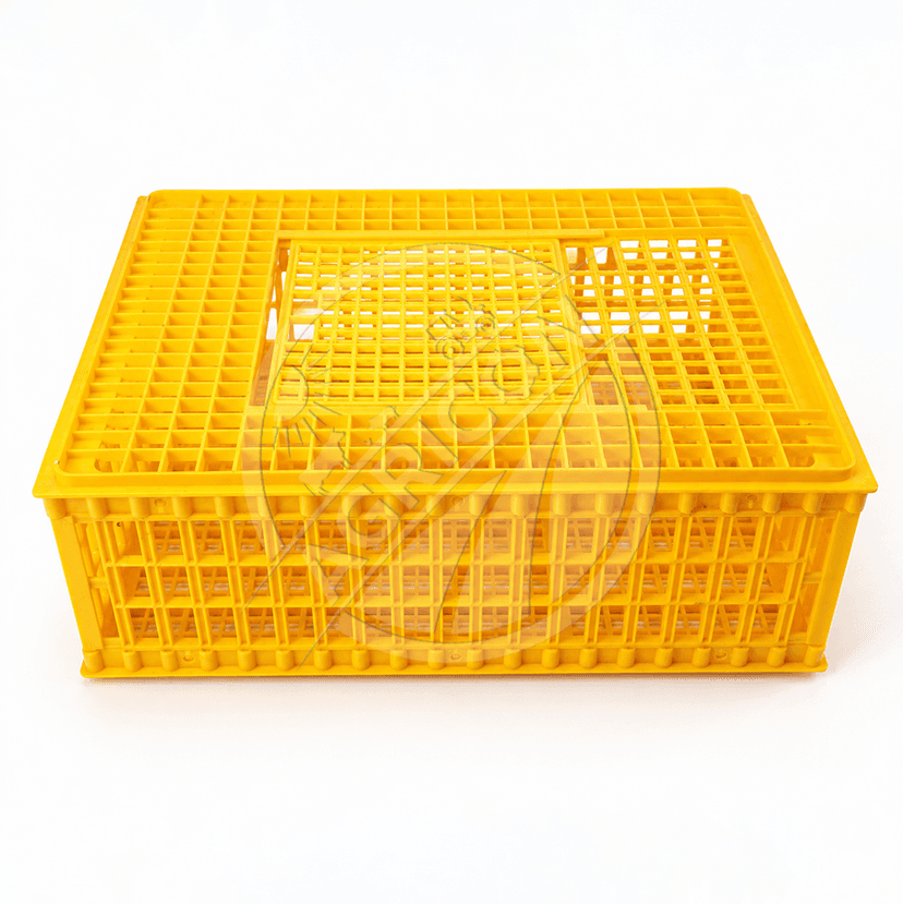 Plastic Poultry Transport Crate