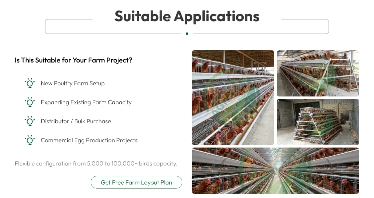 128 Capacity 4 Tier 4 Doors Layer Cage For Chicken Farm Automatic Egg Collecting