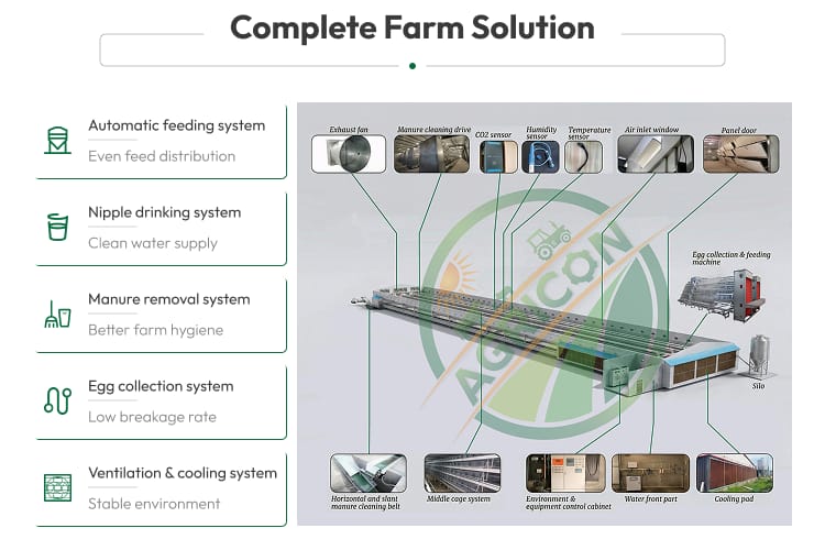 128 Capacity 4 Tier 4 Doors Layer Cage For Chicken Farm Automatic Egg Collecting