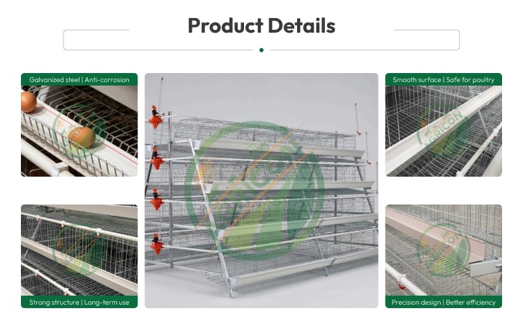 128 Capacity 4 Tier 4 Doors Layer Cage For Chicken Farm Automatic Egg Collecting
