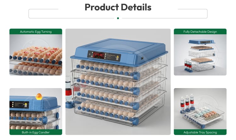 Popular 192 Egg Incubator Portable Dual Power Supply Automatic Egg Turning Temperature Control For Poultry Quail Turkey Hatching