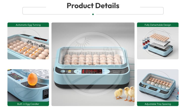 Automatic Digital Egg Incubator 48-96 Eggs Capacity Temperature Humidity Control Roller Tray For Chicken Poultry Hatching 98%