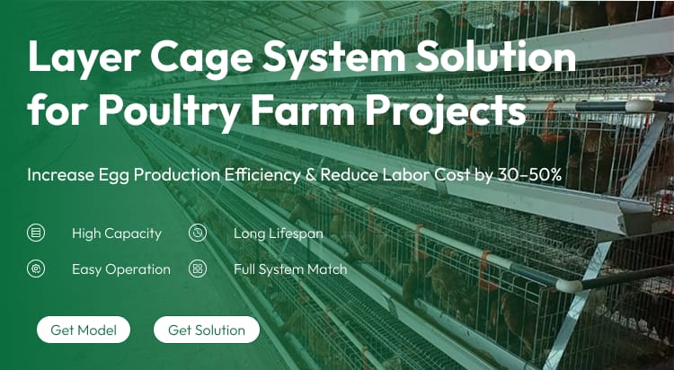 New 48 Capacity Half Set Chicken Layer Cage High Quality Poultry Farming Equipment Small Farm Use Egg Laying Hens Battery Cage
