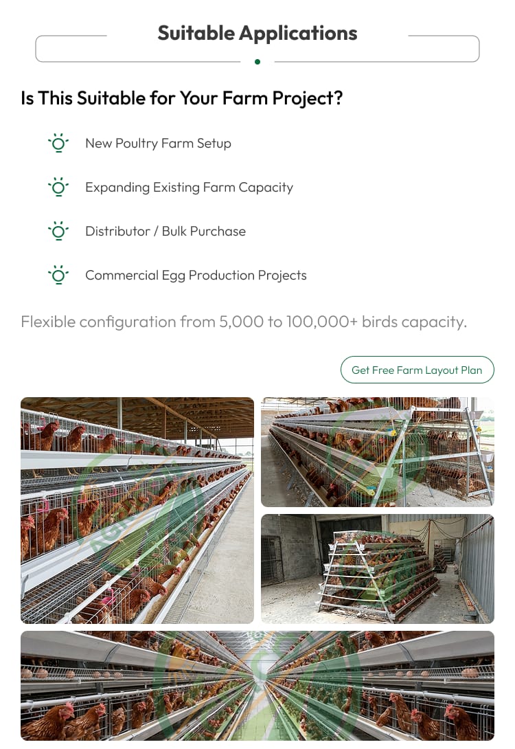 New 48 Capacity Half Set Chicken Layer Cage High Quality Poultry Farming Equipment Small Farm Use Egg Laying Hens Battery Cage