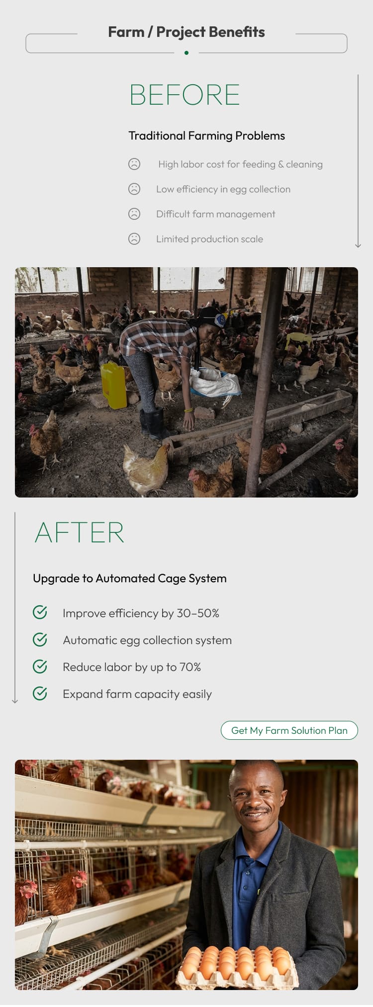 New 48 Capacity Half Set Chicken Layer Cage High Quality Poultry Farming Equipment Small Farm Use Egg Laying Hens Battery Cage