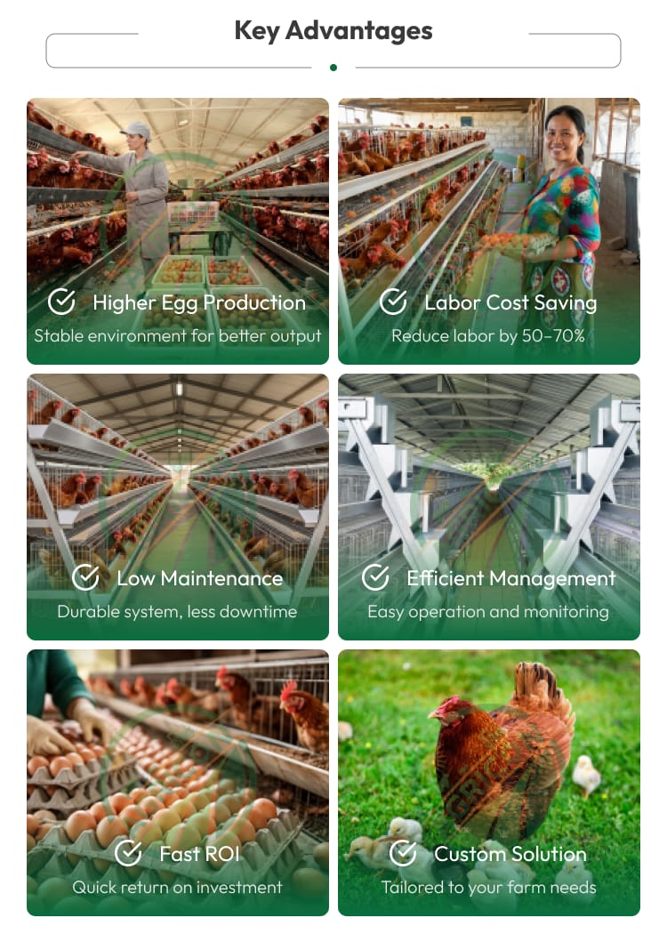 New 48 Capacity Half Set Chicken Layer Cage High Quality Poultry Farming Equipment Small Farm Use Egg Laying Hens Battery Cage