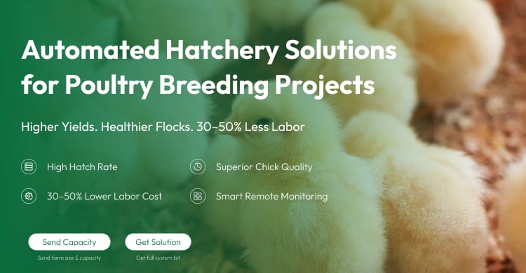 Smart Digital Egg Incubator 64-400 Eggs Capacity Automatic Temperature & Humidity Control 98% Hatching Rate Chicken Duck Quail