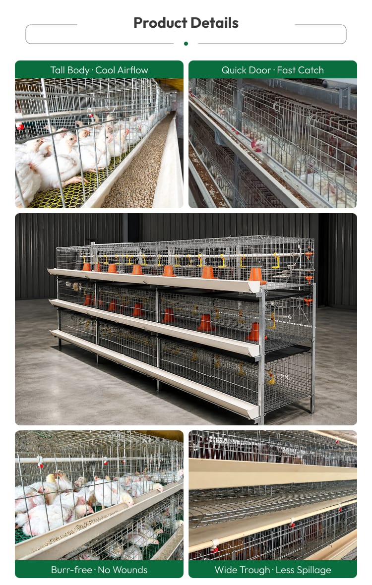 Automatic Broiler Chicken Cage H Frame System Hot Dipped Galvanized Steel 3-4 Tier Feeding Drinking Manure Removal Poultry Farm