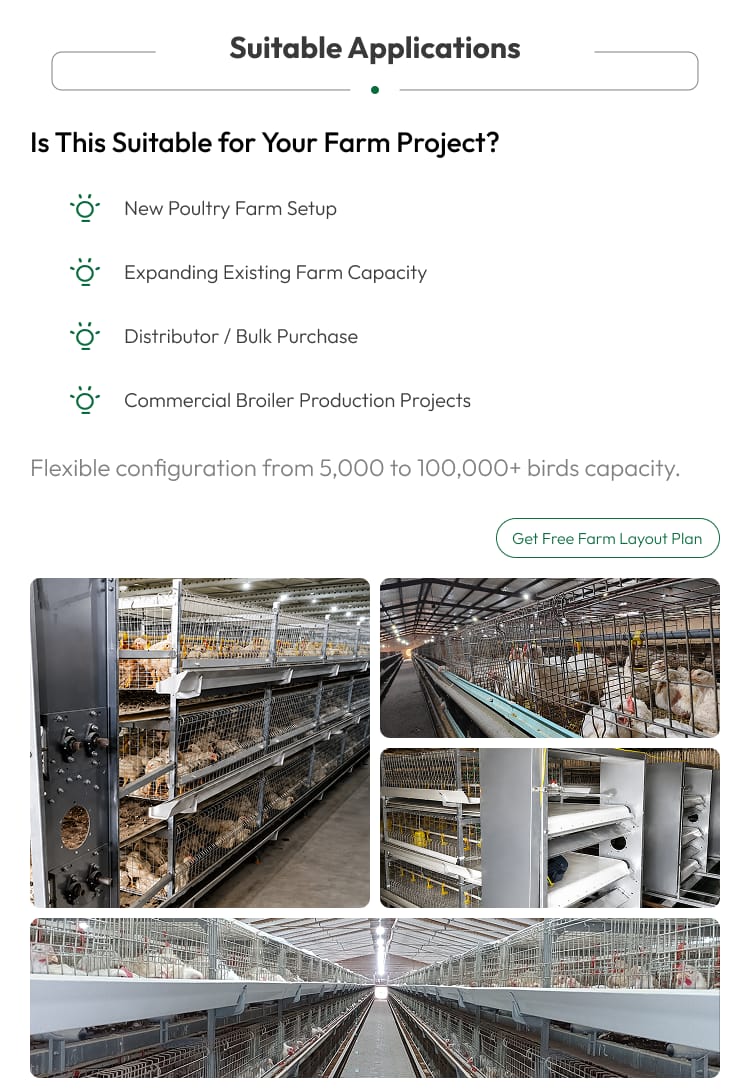 Automatic Broiler Chicken Cage H Frame System Hot Dipped Galvanized Steel 3-4 Tier Feeding Drinking Manure Removal Poultry Farm