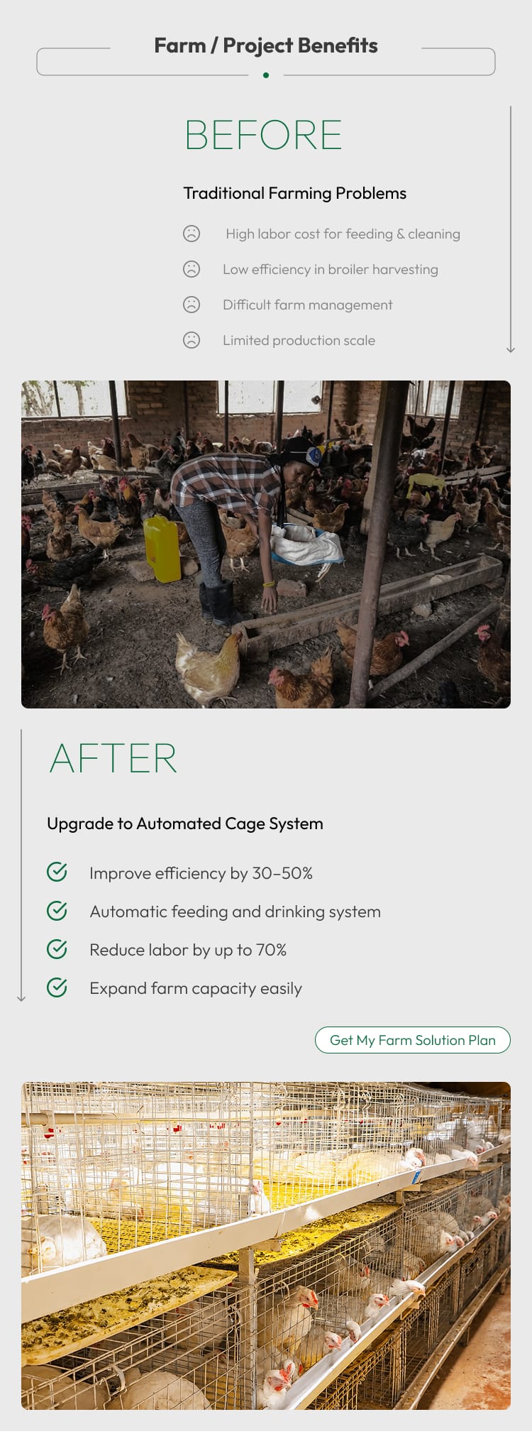 Automatic Broiler Chicken Cage H Frame System Hot Dipped Galvanized Steel 3-4 Tier Feeding Drinking Manure Removal Poultry Farm