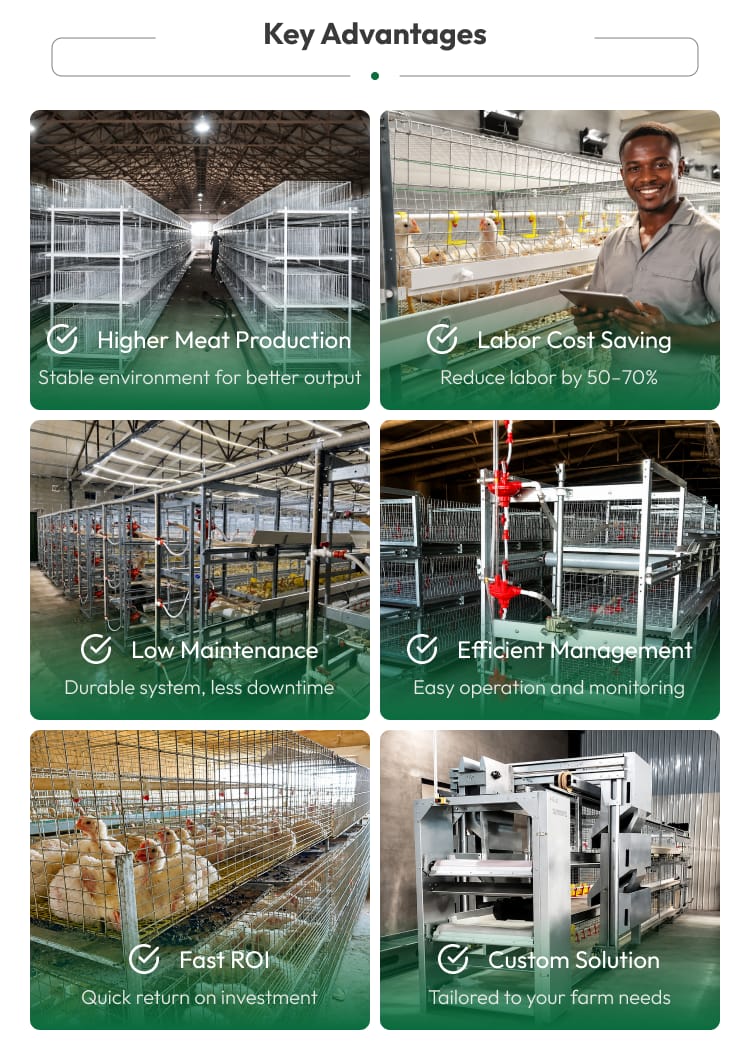 Automatic Broiler Chicken Cage H Frame System Hot Dipped Galvanized Steel 3-4 Tier Feeding Drinking Manure Removal Poultry Farm