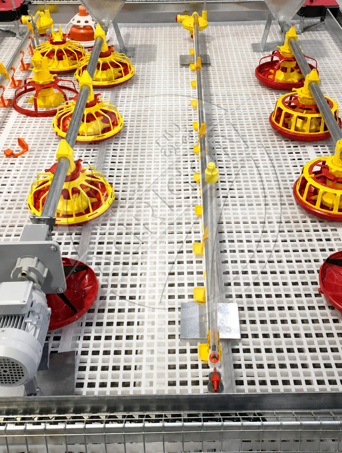 New Full-automatic Poultry Feeding Line System Pan Feeder Nipple Drinker Environment Controlled For Broiler Chicken Farm