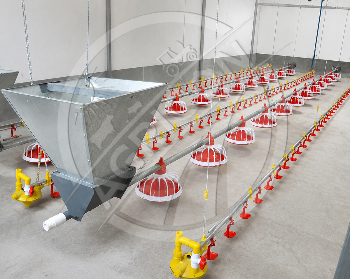 New Full-automatic Poultry Feeding Line System Pan Feeder Nipple Drinker Environment Controlled For Broiler Chicken Farm