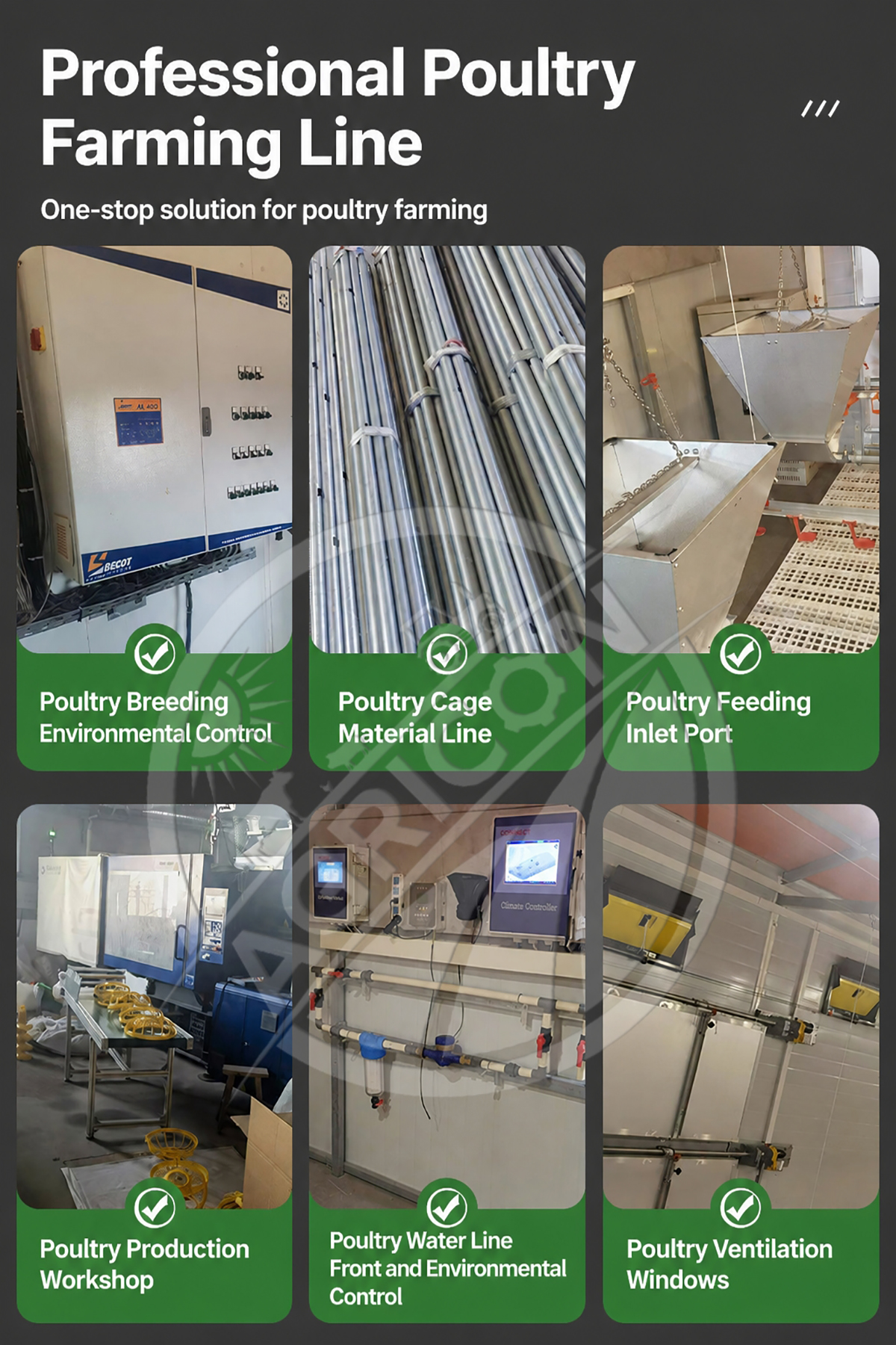 New Full-automatic Poultry Feeding Line System Pan Feeder Nipple Drinker Environment Controlled For Broiler Chicken Farm