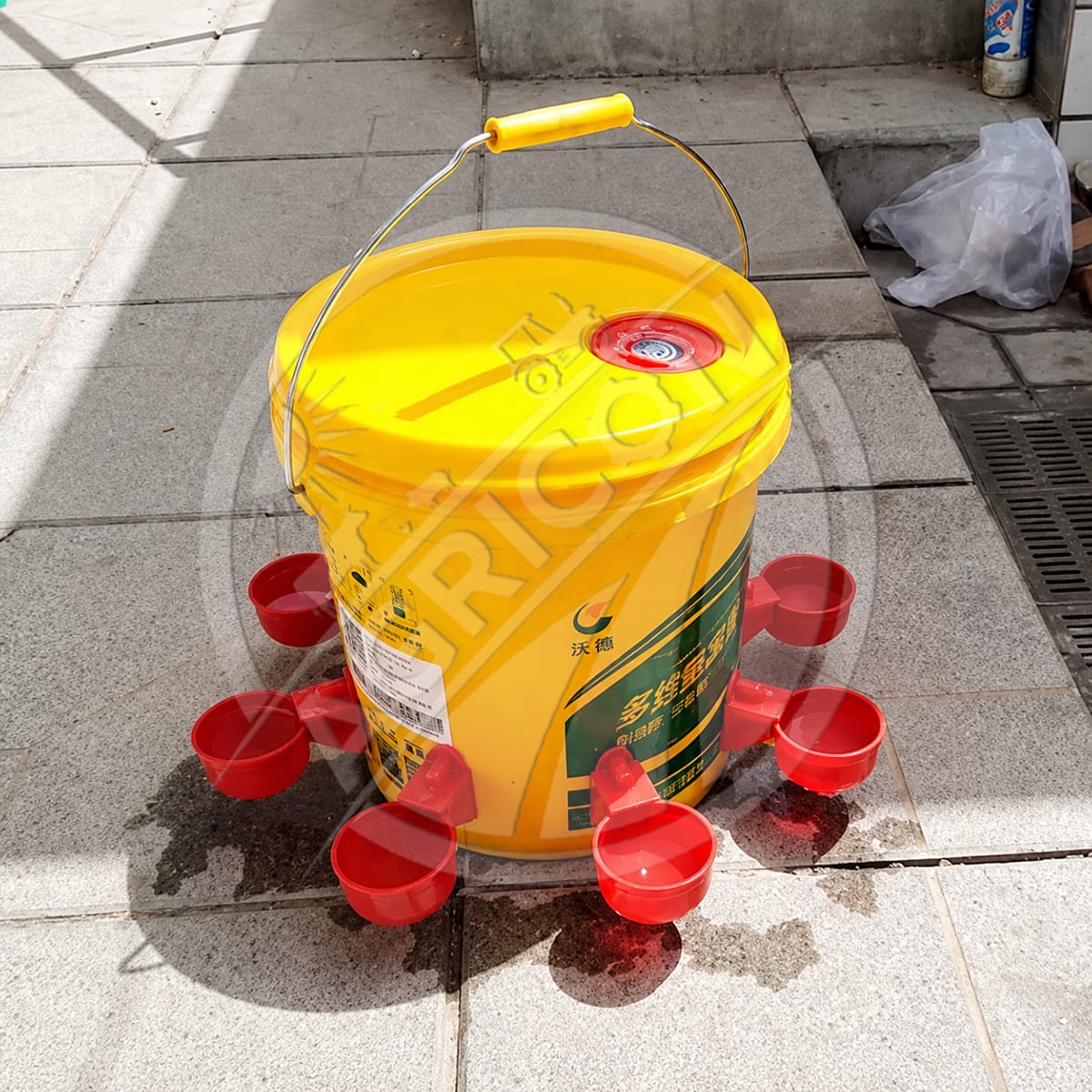 Automatic Chicken Drinking Bowl Gravity Flow Poultry Water Cup With Valve For Chicken Duck Pigeon Farm Water Supply