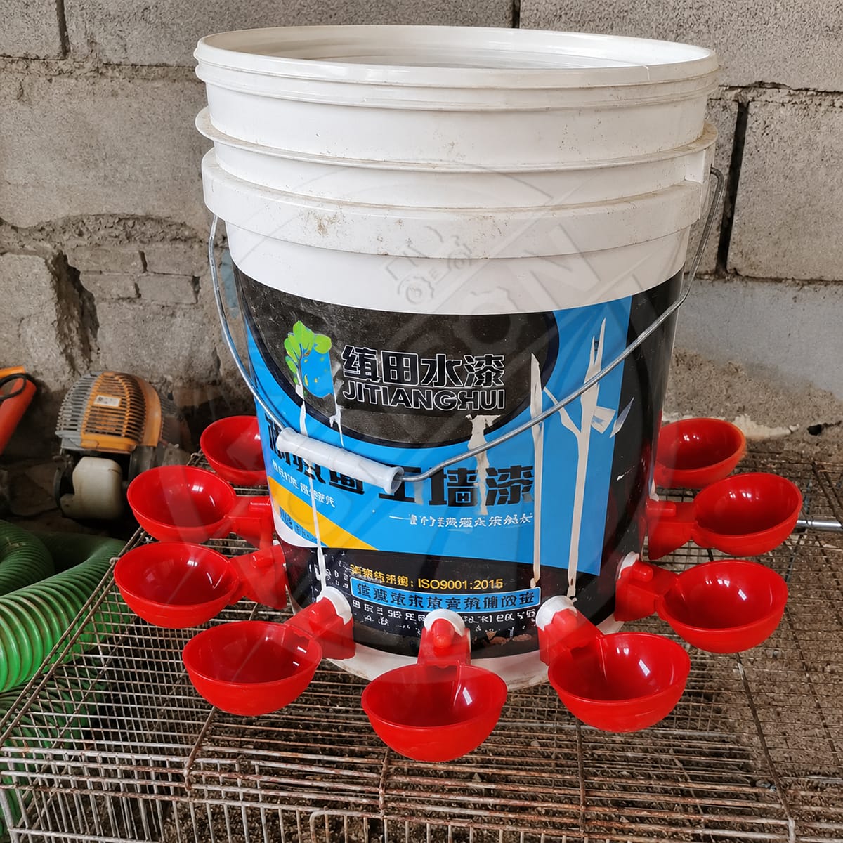 Automatic Chicken Drinking Bowl Gravity Flow Poultry Water Cup With Valve For Chicken Duck Pigeon Farm Water Supply