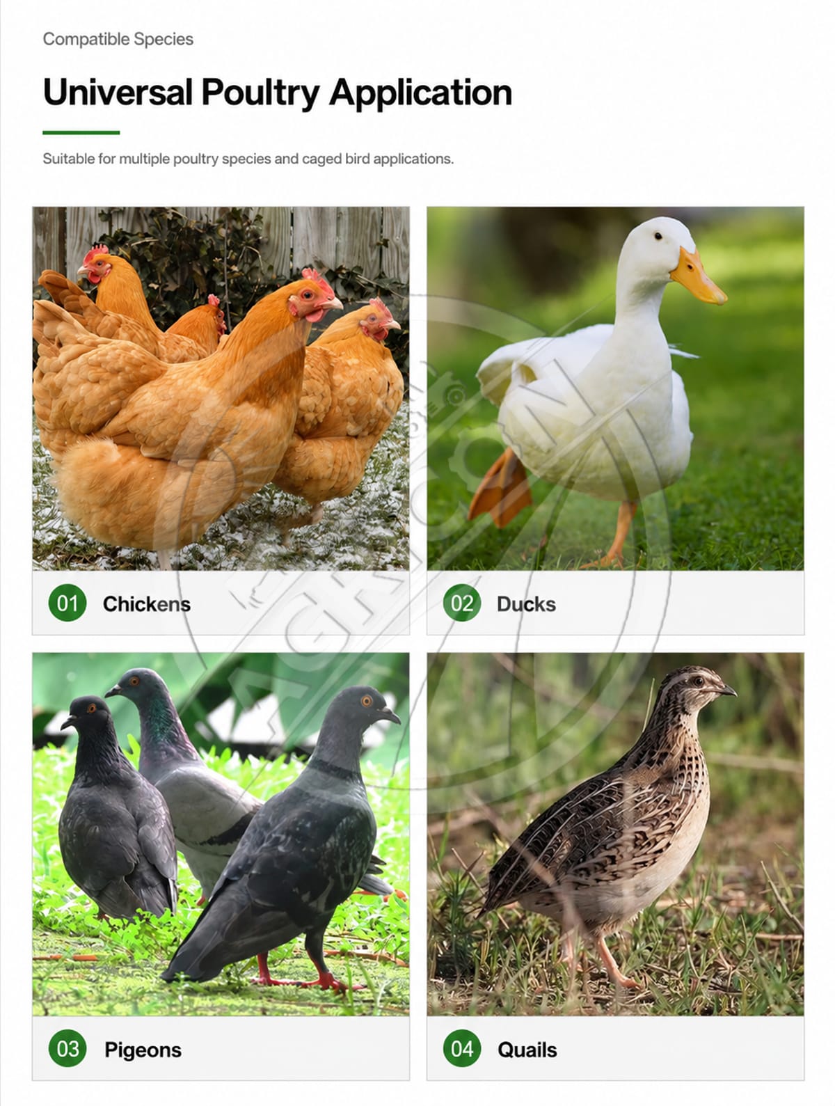 Automatic Chicken Drinking Bowl Gravity Flow Poultry Water Cup With Valve For Chicken Duck Pigeon Farm Water Supply