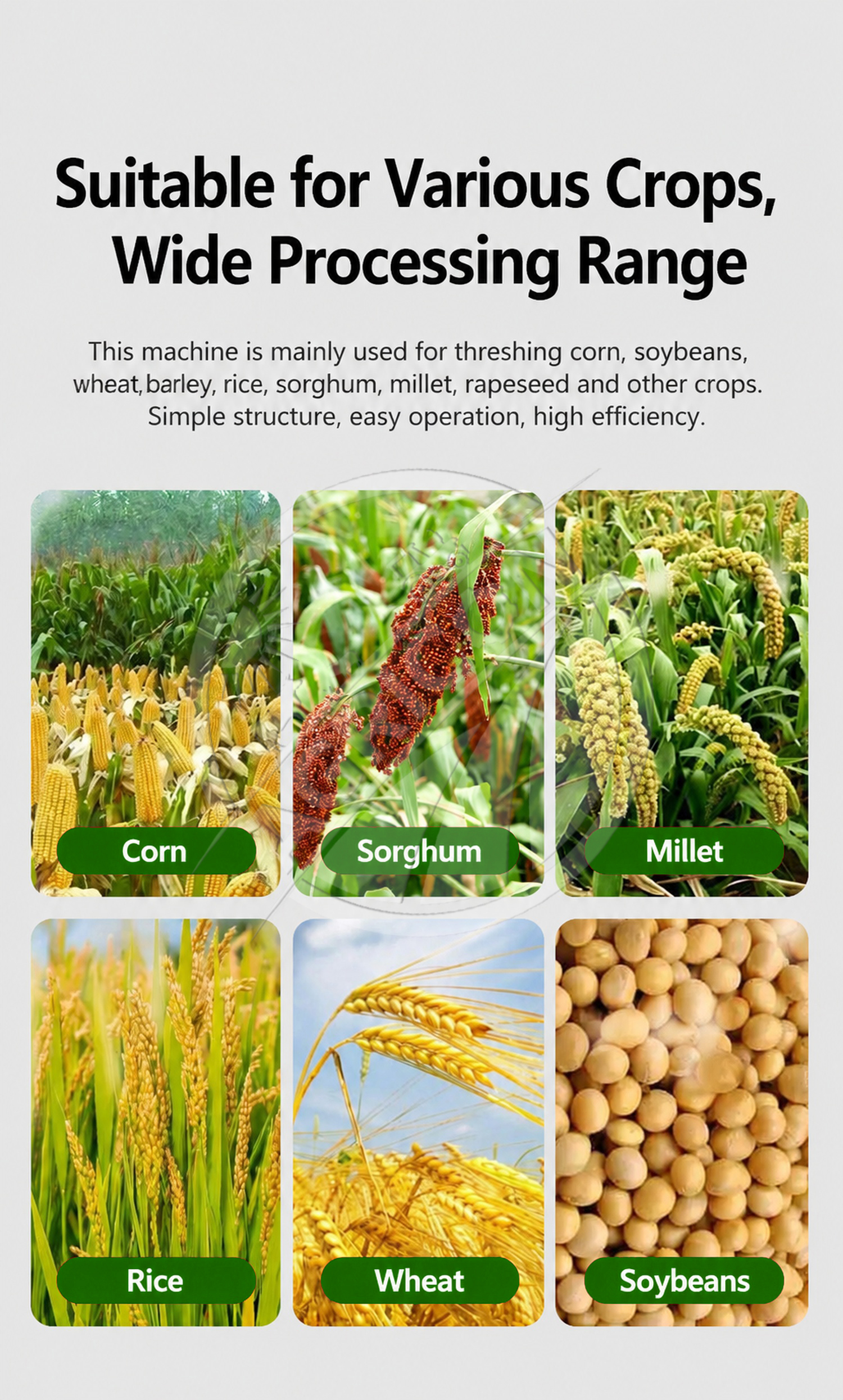 Complete Multifunctional Threshing Machine 8hp Diesel Engine Water Cooled 1500kg/h Corn Wheat Rice Sorghum Soybean Canola Grain