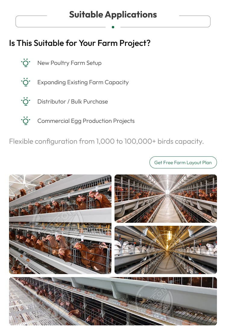 H Frame Layer Cage Hot Dipped Galvanized Steel Battery Cage System For Layer Hen 128-200 Birds With Automatic Farm Equipment