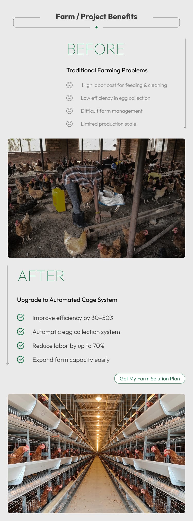 H Frame Layer Cage Hot Dipped Galvanized Steel Battery Cage System For Layer Hen 128-200 Birds With Automatic Farm Equipment