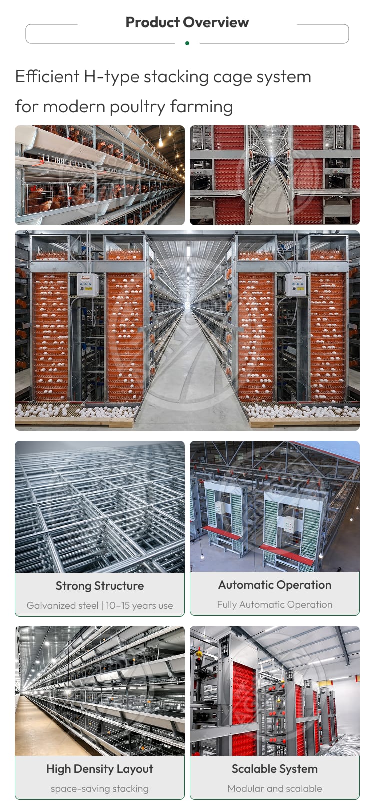 H Frame Layer Cage Hot Dipped Galvanized Steel Battery Cage System For Layer Hen 128-200 Birds With Automatic Farm Equipment