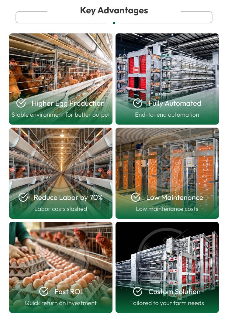 H Frame Layer Cage Hot Dipped Galvanized Steel Battery Cage System For Layer Hen 128-200 Birds With Automatic Farm Equipment