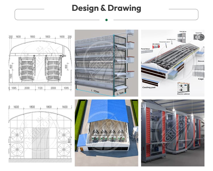 H Frame Layer Cage Hot Dipped Galvanized Steel Battery Cage System For Layer Hen 128-200 Birds With Automatic Farm Equipment