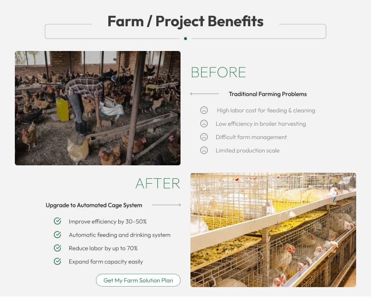 New H Frame Broiler Cage Automatic Hot Dipped Galvanized Steel Multi Tier Poultry Farming Equipment Large Commercial House