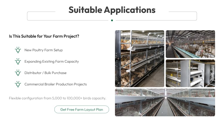 New H Frame Broiler Cage Automatic Hot Dipped Galvanized Steel Multi Tier Poultry Farming Equipment Large Commercial House