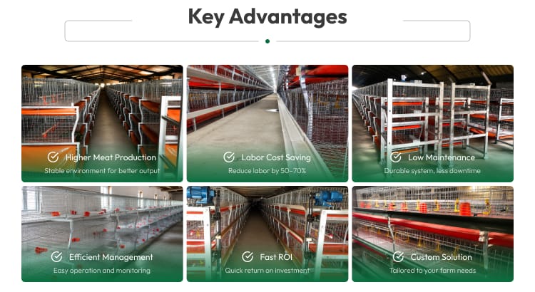 New H Frame Broiler Cage Automatic Hot Dipped Galvanized Steel Multi Tier Poultry Farming Equipment Large Commercial House