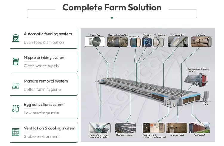 New H Frame Broiler Cage Automatic Hot Dipped Galvanized Steel Multi Tier Poultry Farming Equipment Large Commercial House